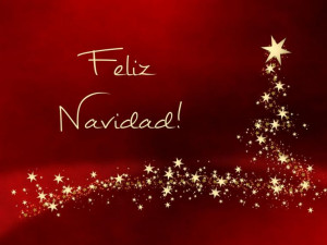 Christmas Greeting Card Sayings In Spanish: 7 Quotes In Espanol To ...