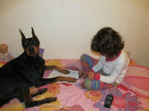 Beauty Moment Of The Day: Little Girl Paints Doberman’s Nails