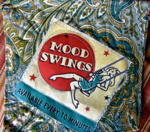 Quotes Mood Swings Pot holder, hot pad handmade fabric kitch tateam