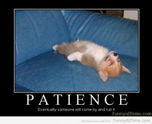 ... Pictures sister wives jokes funny audience mitt romney the polygamist