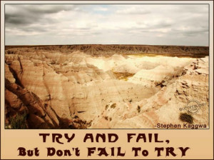 Try and fail, but don’t fail to try ~ Failure Quote