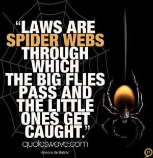 Laws are spider webs through which the big flies pass and the little ...