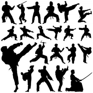 Quality martial arts vector silhouettes. Karate, Aikido, Jiu Jitsu ...