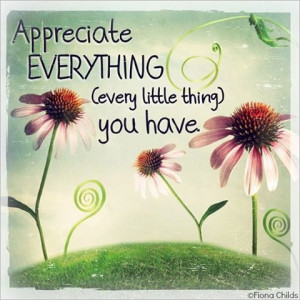Appreciate every little thing