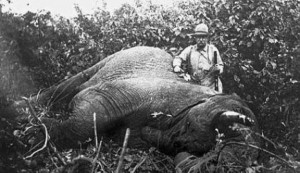 Theodore Roosevelt beside an elephant he shot and killed in Africa in ...