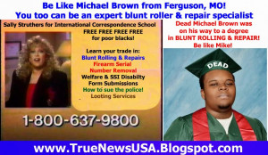 Michael Brown was shot to death in a confrontation with police on Aug ...