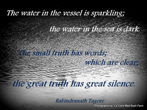 The great truth has great silence #quote
