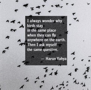 Quotes and interesting sayings