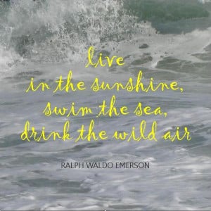 LIVE IN THE SUNSHINE, SWIM THE SEA, DRINK THE WILD AIR