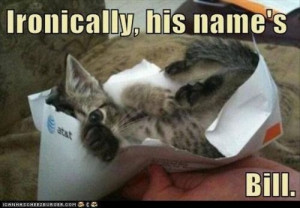 Bill The Cat Meme #cat #quotes #cats #funny #meme =^..^= www.zazzle ...