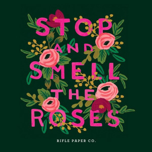 Illustrated quote: stop and smell the roses
