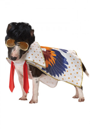 ... Most Funniest Dog Costumes that will cheer you up - Halloween Dogs