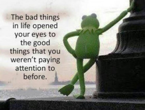 Pinned by Jo-Anne Hall