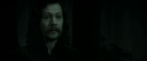 Sirius Black Deathly Hallows