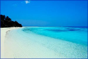 Positive quotes: Photo of tropical beach. A tropical paradise.