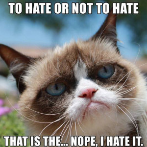Grumpy Cat Hate