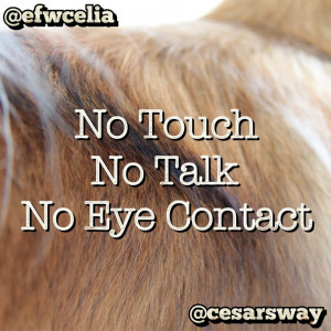 ... No Talk, No Eye Contact