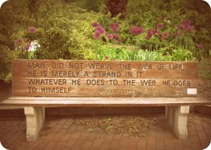 Bench Quotes Art Print or Poster