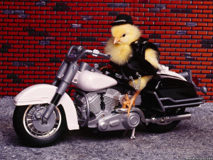 The biker chick stereotype running rampant