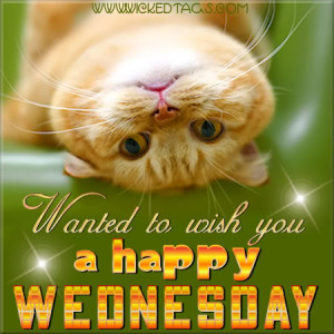 wanted-to-wish-you-a-happy-wednesday.jpg#wednesday%20450x450