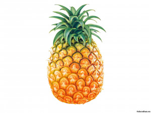 Pineapple 540x405 Pineapple