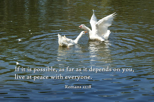 ... is possible, as far as it depends on you, live at peace with everyone
