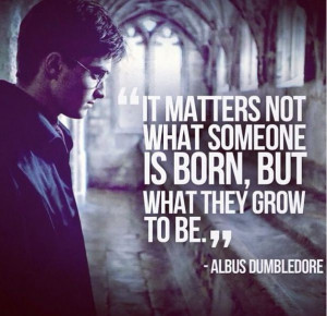 harry potter quotes