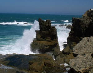 Searching the Inner Me