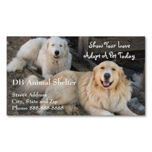 Animal Shelter Veterinary Business Card