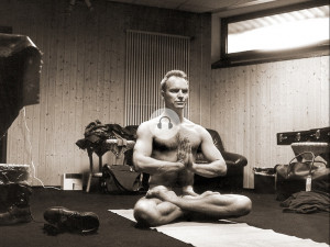 ... Sting Mindfulness, Opa Sting, Sting Yoga, Yoga Namaste, Staging