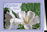 Get Well Soon Cards For Surgery from Greeting Card Universe