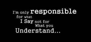only responsible for what i say not for what you understand