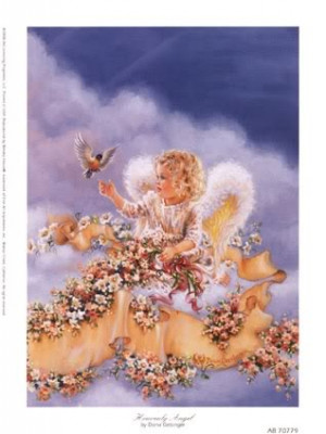 more images from angel bird baby angel