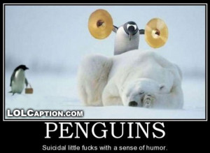 funny penguins suicidal with a sense of humor funny caption picture