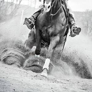 ... reining in captures a reining horse in a stunning sliding stop this