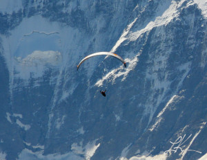 Photo of paraglider. Copyright © 2013 Laura K Kerr, PhD. All rights ...