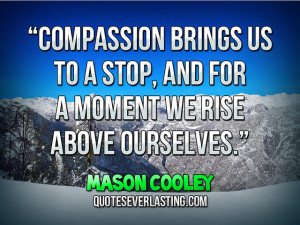 and for a moment we rise above ourselves Mason Cooley source