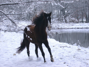 My Corner of the World