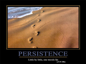 Persistence Little by little, one travels far.