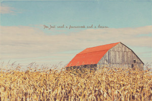 Red Barn House, Golden Field, Countryside Quotes, Countryside Art ...
