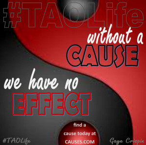 ... no effect. Find a cause today at Causes.com @causes #quote #taolife