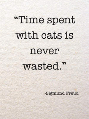 cat quotes tumblr love quotes on tumblr on we find more cat quotes ...