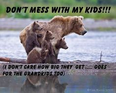Truth. Momma bear will attack.
