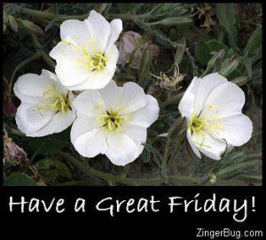 Glitter Graphic Comment: Have A Great Friday White Flowers