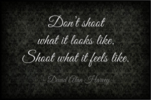 David Alan Harvey Quote: Shoot what it feels like... Via www ...