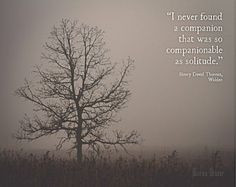 ... Quotes | Tree in Fog Photograph | Solitude W alden Quote Henry David