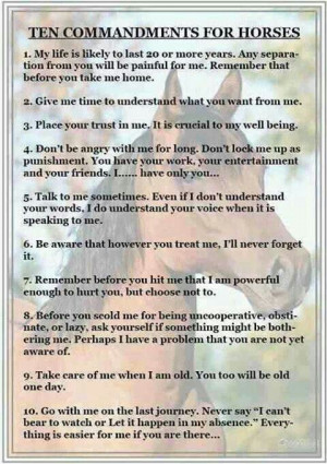 TEN commandments of horses