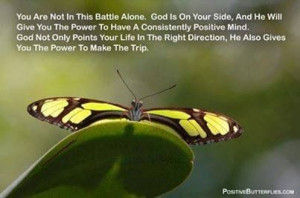 Butterfly Quotes