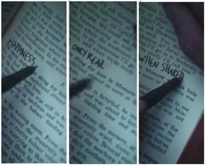 Happiness only real when shared.” (quote from Christopher McCandless ...