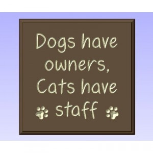 Dogs Have Owners Cats Staff